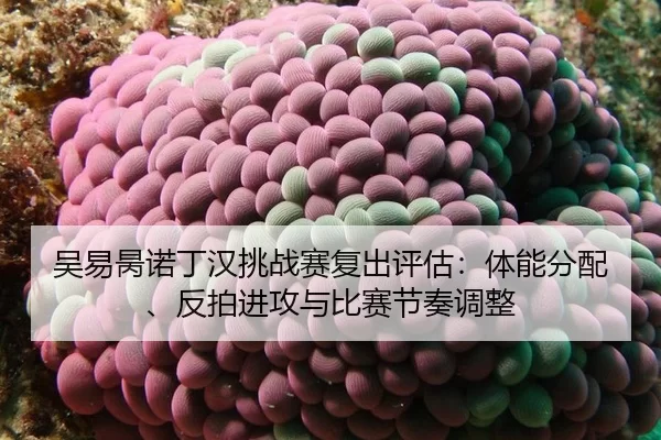 wu-yi-bing-nuo-ding-han-tiao-zhan-sai-fu-chu-ping-gu-ti-neng-fen-pei-fan-pai-jin-gong-yu-bi-sai-jie-zou-tiao-zheng-2-697.jpg